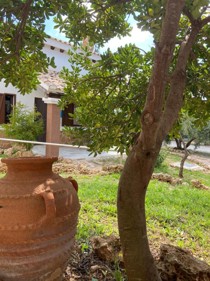 Gasthaus Complejo Rural Ibipozo Pozo Alcón Exterior foto